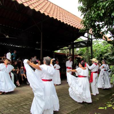 Adultos 14