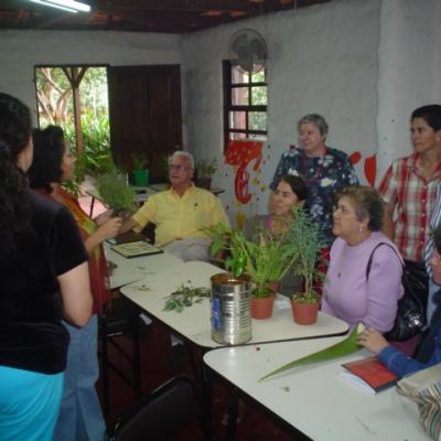 Adultos 5